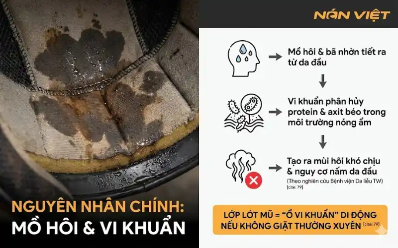 Lý Do Mũ Bảo Hiểm Có Mùi Mồ Hôi Và Vi Khuẩn