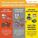 Tác hại của việc không đội mũ bảo hiểm và mức phạt 2025